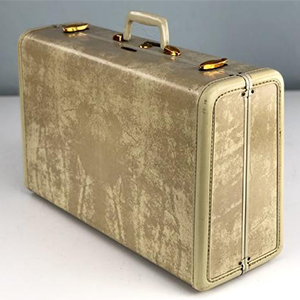 Samsonite Vintage Leather Suitcase